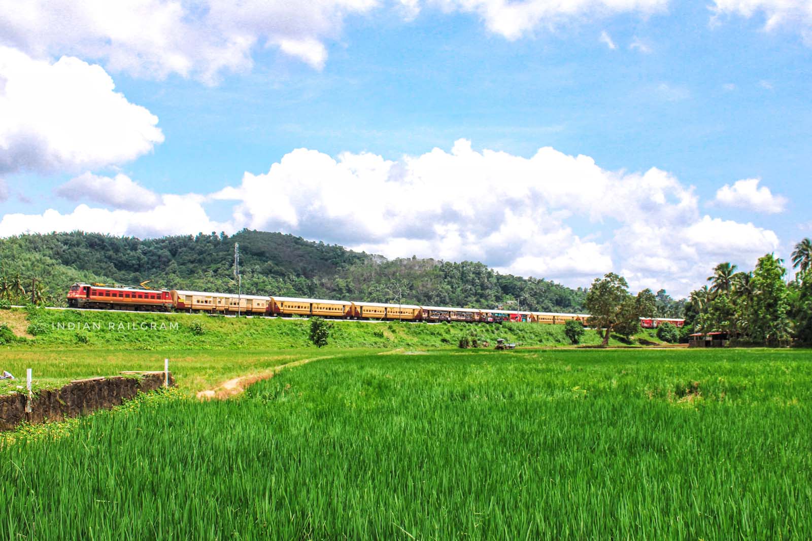 Train Photo 16